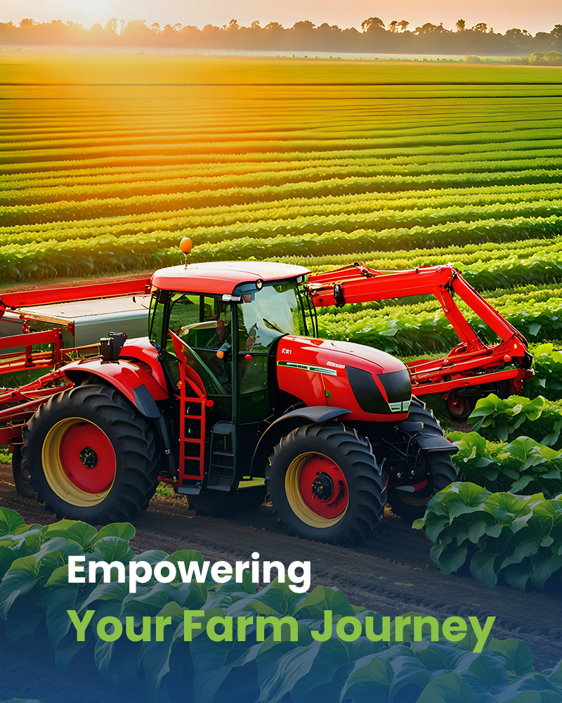 Image for Digital Service